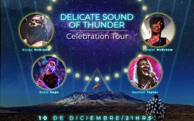 RECREARÁN POR PRIMERA VEZ EN CHILE EL “DELICATE SOUND OF THUNDER CELEBRATION TOUR” DE PINK FLOYD