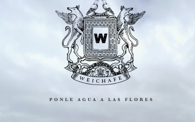 WEICHAFE ESTRENA SU NUEVO DISCO: “VUELO HACIA EL FINAL”. ESCÚCHALO AQUÍ 