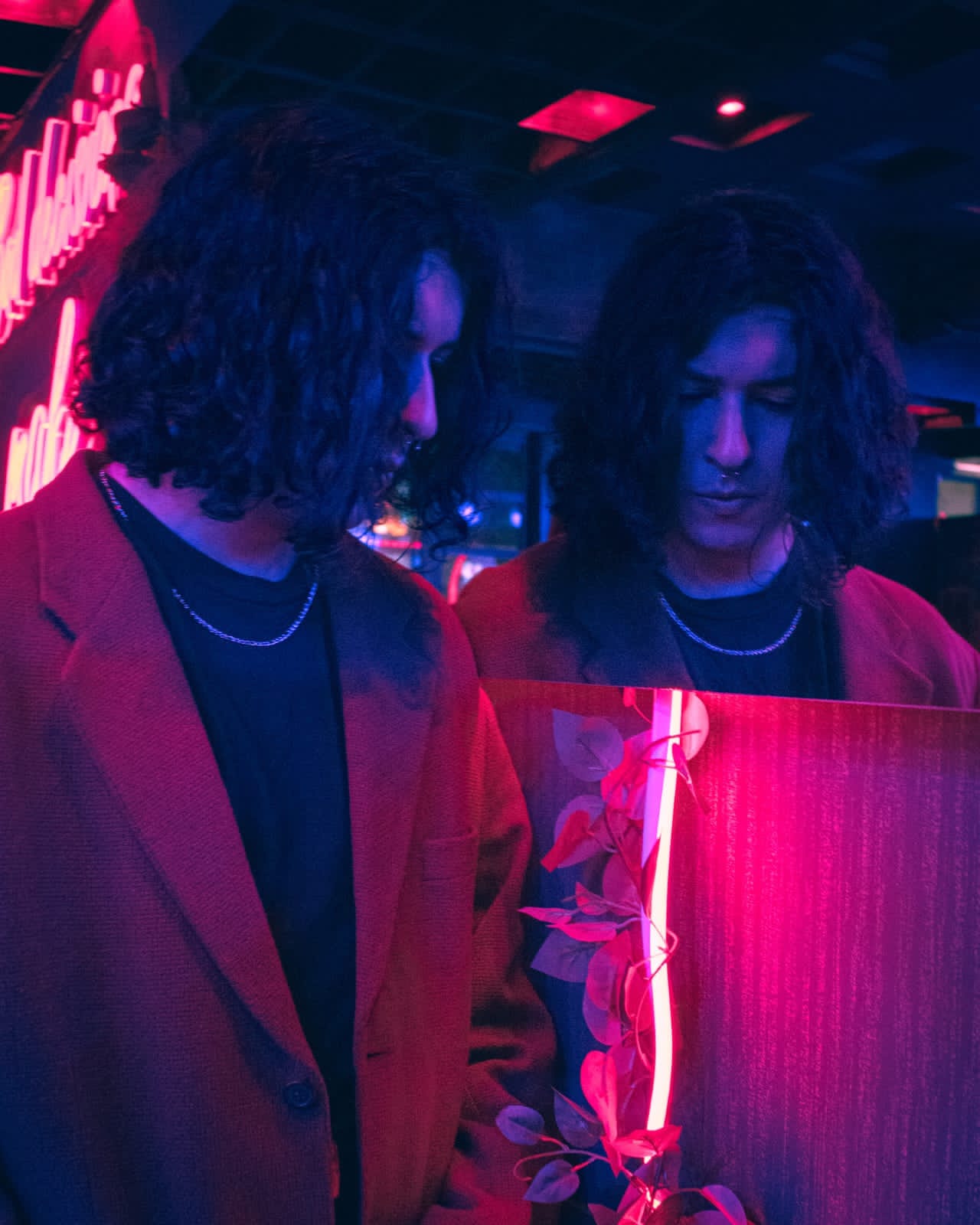 Fondo