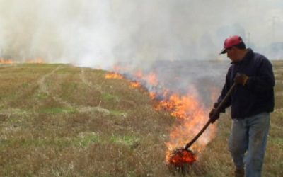 PODCAST: QUEMAS AGRÍCOLAS Y CONTAMINACIÓN EN LA QUINTA REGIÓN COSTA