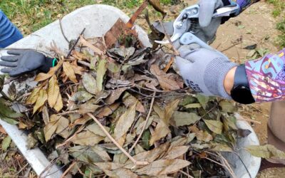 SE INICIAN JORNADAS DE RECICLAJE, TRANSFORMACIÓN Y CREACIÓN EN LA NATURALEZA EN CERRO LARRAÍN