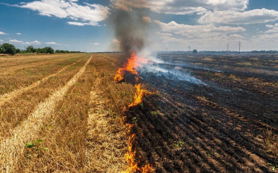 QUEMAS CONTROLADAS EN LA PROVINCIA DE VALPARAÍSO Y CUIDADO DE INCENDIOS POR LAS AUTORIDADES