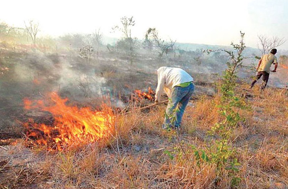ALERTA POR QUEMAS ILEGALES EN ZONAS RURALES DE LA REGIÓN DE VALPARAÍSO
