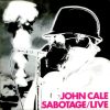 EL SURCO OCULTO [ENTREGA #1]: ¿BETÚN, NOSTALGIA Y LA FURIA DEL PUNK? EL ECO INMORTAL DE JOHN CALE EN EL CBGB