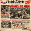 EL CORTADO MAMADERA DE MARAMBIO, EL TAZÓN DE CACATÚAS NEWS Y EL «ROBO» DEL CD DE AQUA EN CIUDAD ABIERTA?